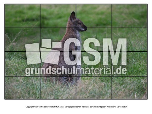 Puzzle-Känguru-2.pdf